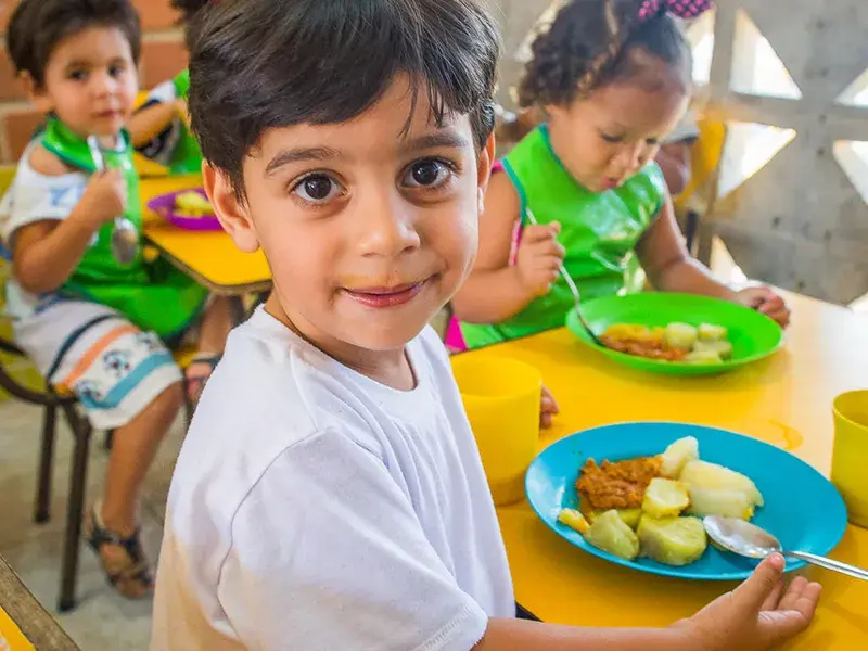 alimentação