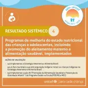 Guia Politicas Publicas - Resultado Sistêmico 4