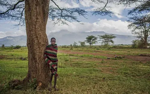 Selo UNICEF poara cada crianca